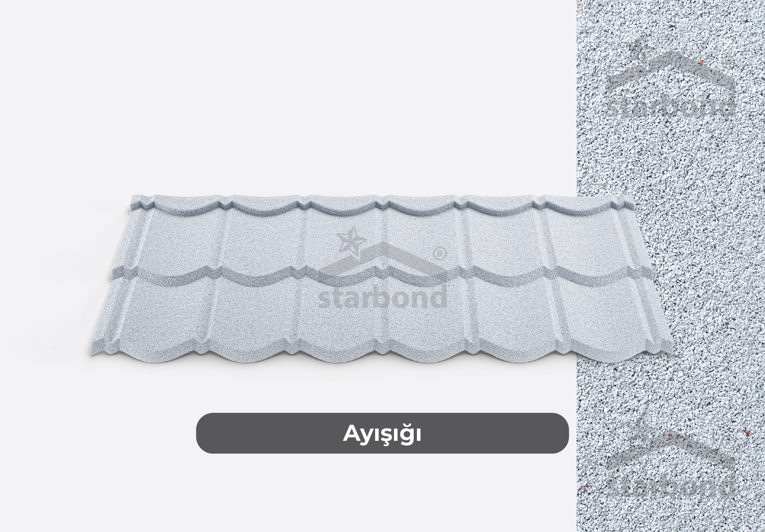 Ayışığı
