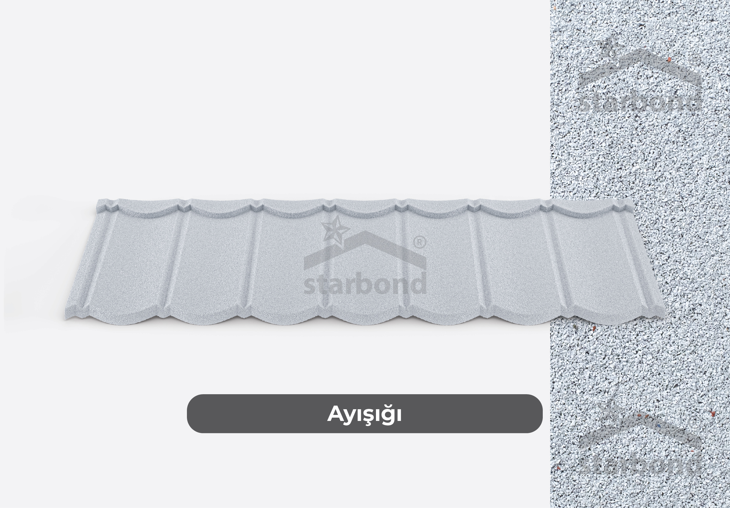 Ayışığı